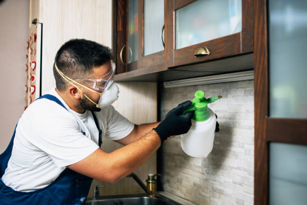 Best Pest Prevention Services  in Deans, NJ