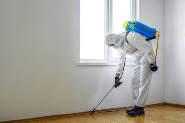 Trusted Deans, NJ Pest Control Experts