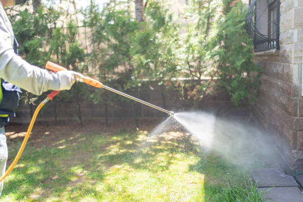 Best Rodent Control Near Me  in Deans, NJ
