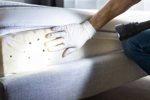 Best Pest Control Near Me in Deans, NJ