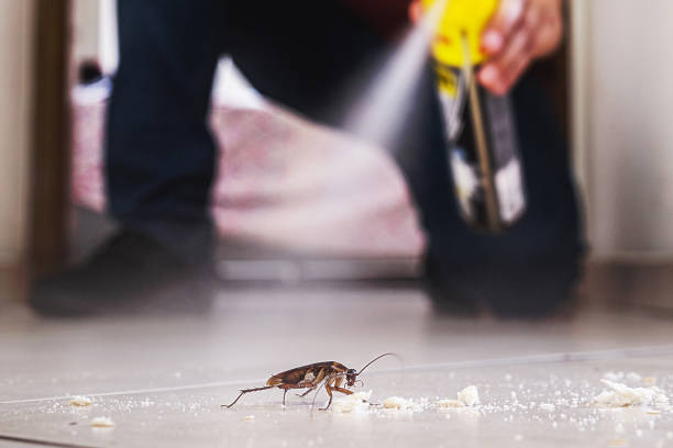 Best Pest Removal Services  in Deans, NJ