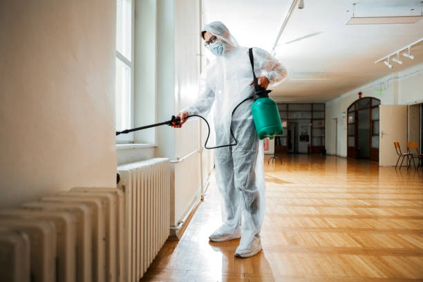 Best Insect Control  in Deans, NJ